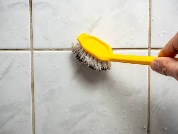 Best Affordable Mold Removal  in Capitol View, SC