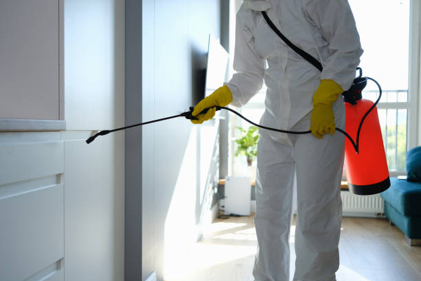 Best Crawl Space Mold Removal  in Capitol View, SC